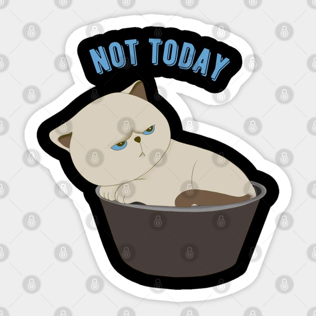 Lazy Cat Nope not Today funny sarcastic messages sayings and quotes Sticker by BoogieCreates